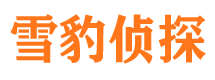 紫云市调查公司